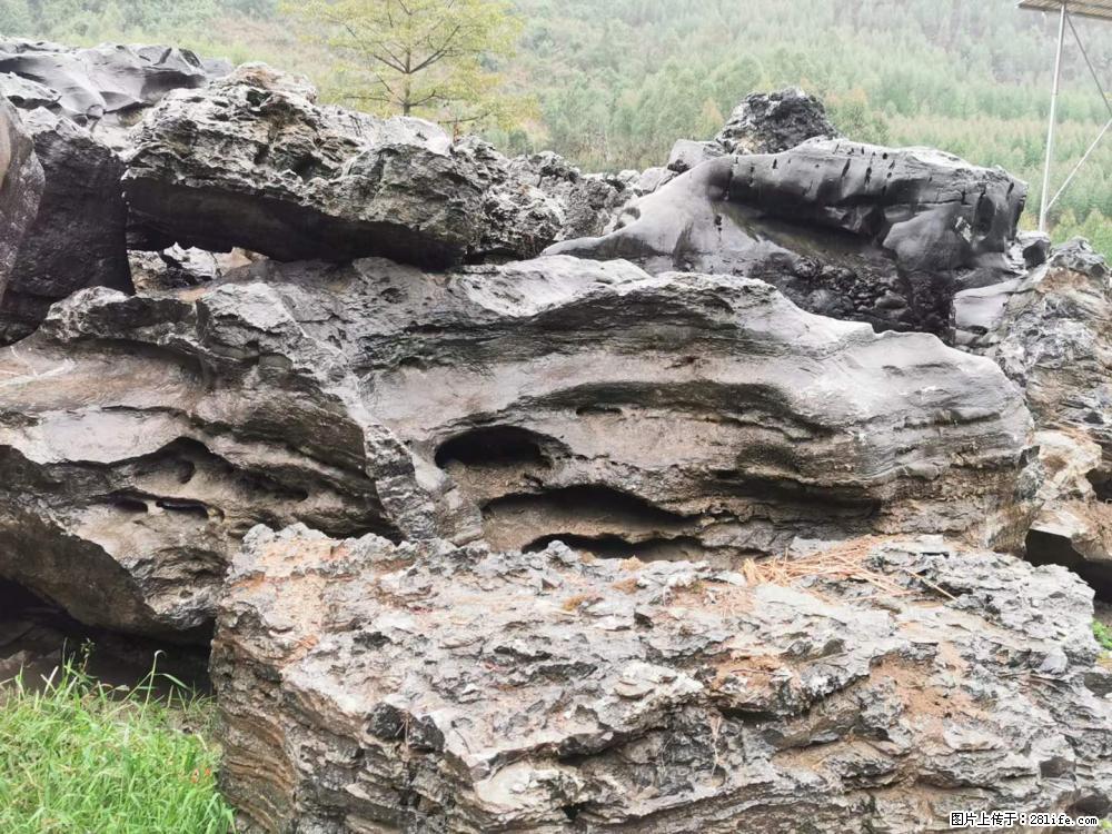 风景石、假山石大量有货，有需要的欢迎联系 - 新手上路 - 宜宾生活社区 - 宜宾28生活网 yb.28life.net