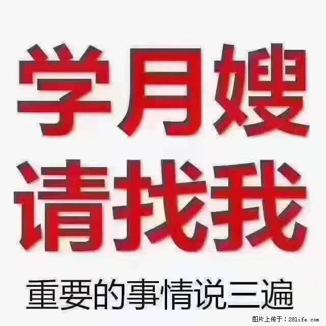 为什么要学习月嫂，育婴师？ - 其他广告 - 广告专区 - 宜宾分类信息 - 宜宾28生活网 yb.28life.net