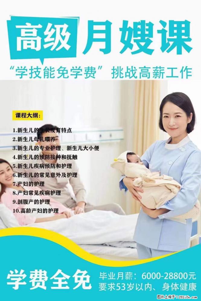 为什么要学习月嫂，育婴师？ - 其他广告 - 广告专区 - 宜宾分类信息 - 宜宾28生活网 yb.28life.net