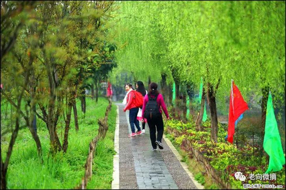 【春天，广西桂林灌阳县向您发出邀请！】江口老街又逢春 - 游山玩水 - 宜宾生活社区 - 宜宾28生活网 yb.28life.net