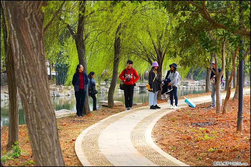 【春天，广西桂林灌阳县向您发出邀请！】江口老街又逢春 - 游山玩水 - 宜宾生活社区 - 宜宾28生活网 yb.28life.net