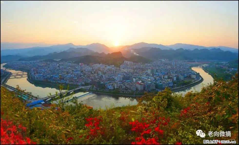 【春天，广西桂林灌阳县向您发出邀请！】登麒麟山，相约映山红 - 游山玩水 - 宜宾生活社区 - 宜宾28生活网 yb.28life.net