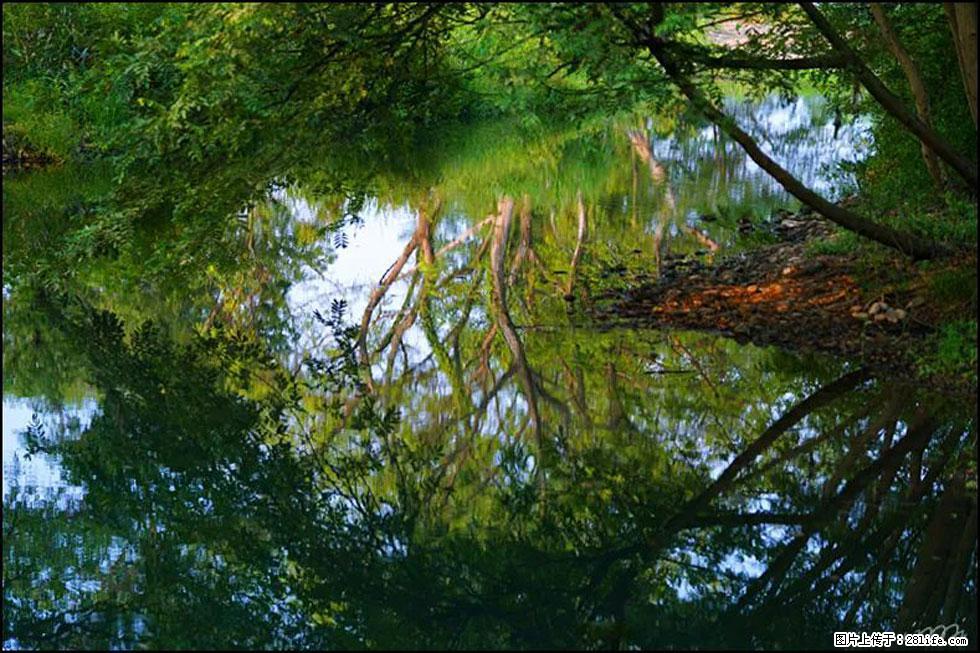 【春天，广西桂林灌阳县向您发出邀请！】熊家寨湿地公园 - 游山玩水 - 宜宾生活社区 - 宜宾28生活网 yb.28life.net