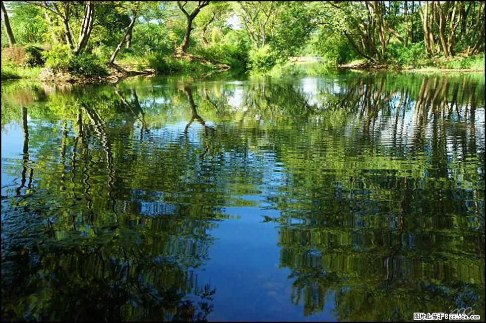 【春天，广西桂林灌阳县向您发出邀请！】熊家寨湿地公园 - 游山玩水 - 宜宾生活社区 - 宜宾28生活网 yb.28life.net