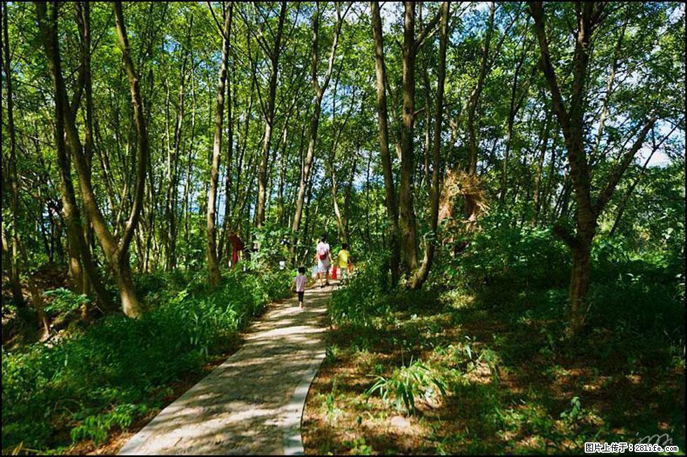 【春天，广西桂林灌阳县向您发出邀请！】熊家寨湿地公园 - 游山玩水 - 宜宾生活社区 - 宜宾28生活网 yb.28life.net