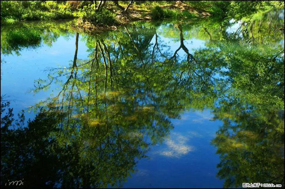 【春天，广西桂林灌阳县向您发出邀请！】熊家寨湿地公园 - 游山玩水 - 宜宾生活社区 - 宜宾28生活网 yb.28life.net