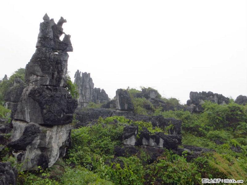 桂林旅游名城景点：灌阳文市石林 - 游山玩水 - 宜宾生活社区 - 宜宾28生活网 yb.28life.net