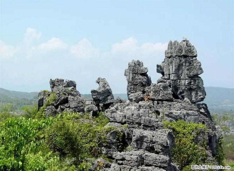 桂林旅游名城景点：灌阳文市石林 - 游山玩水 - 宜宾生活社区 - 宜宾28生活网 yb.28life.net
