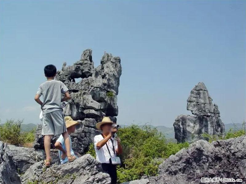 桂林旅游名城景点：灌阳文市石林 - 游山玩水 - 宜宾生活社区 - 宜宾28生活网 yb.28life.net