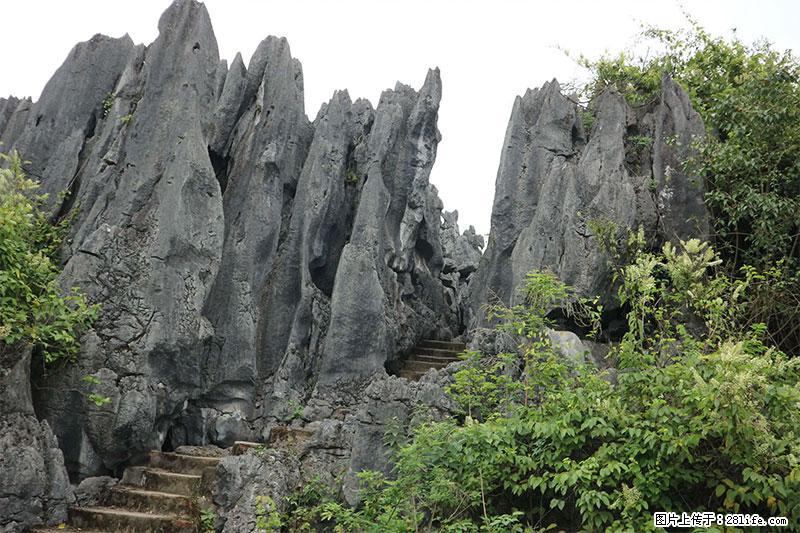 桂林旅游名城景点：灌阳文市石林 - 游山玩水 - 宜宾生活社区 - 宜宾28生活网 yb.28life.net