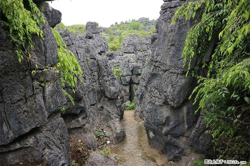 桂林旅游名城景点：灌阳文市石林 - 游山玩水 - 宜宾生活社区 - 宜宾28生活网 yb.28life.net