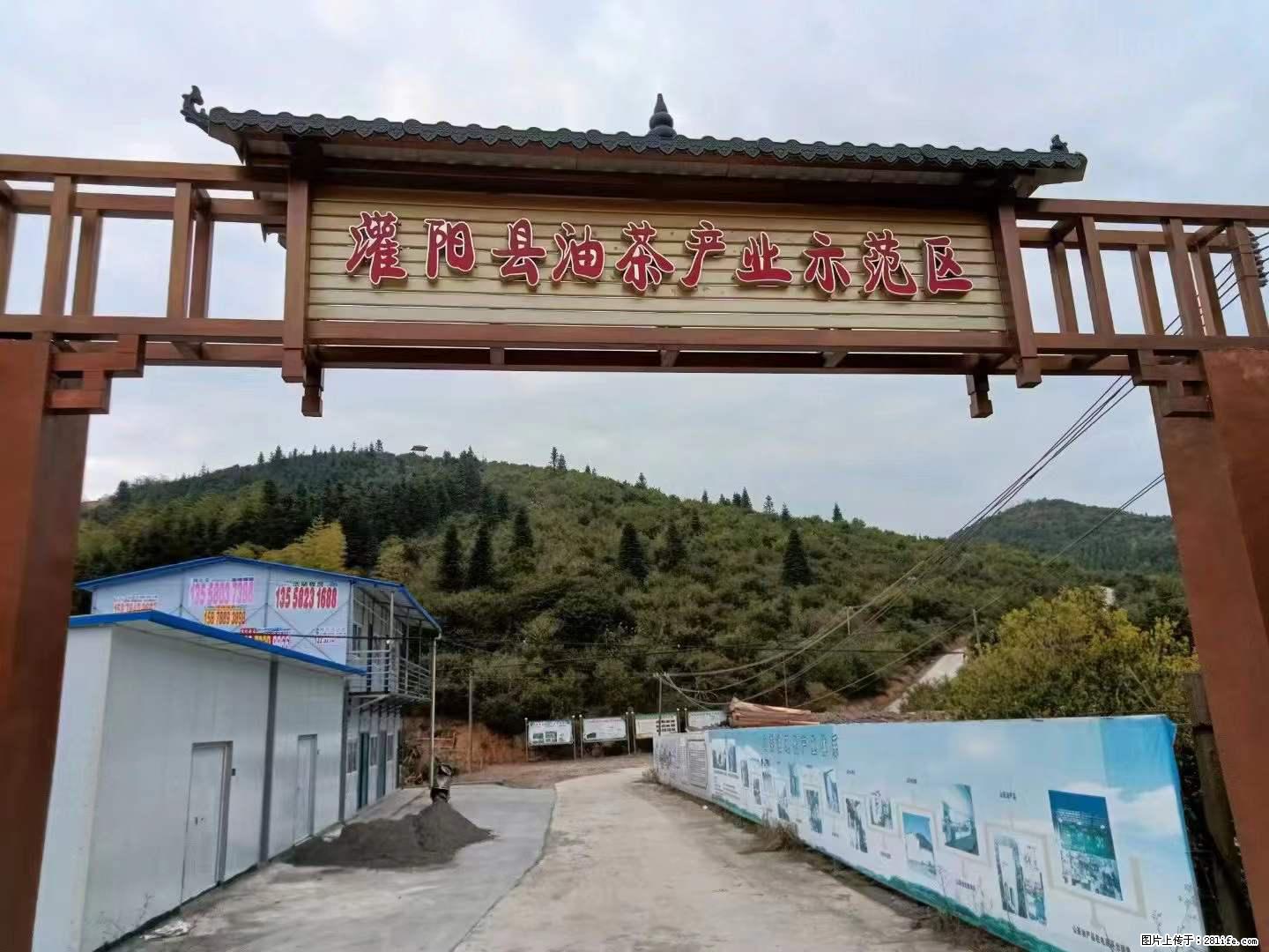 【灌阳县油茶产业示范区】一个有着充实的精神生活的人，对待身外之物自会有一种淡泊的态度 - 美食天地 - 宜宾生活社区 - 宜宾28生活网 yb.28life.net