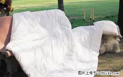 被子有异味？只要这样做，比晒太阳还强100倍！ - 家居生活 - 宜宾生活社区 - 宜宾28生活网 yb.28life.net