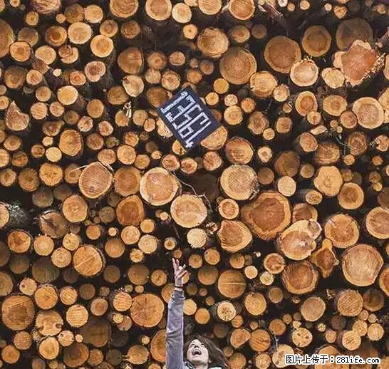 辞掉工作周游世界？现在他们在洗厕所…… - 游山玩水 - 宜宾生活社区 - 宜宾28生活网 yb.28life.net