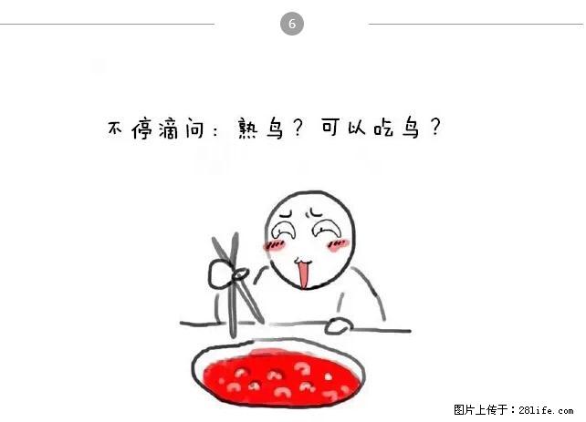 千万不要和这9种哈卵一起吃火锅！ - 美食天地 - 宜宾生活社区 - 宜宾28生活网 yb.28life.net