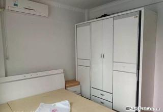 南门桥头集义街精装一室一厅+家具家电全齐+拎包入住 - 宜宾28生活网 yb.28life.net