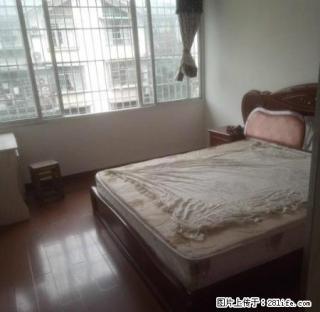 黄桷坪小区 居家两室 只要1200 才空出来的房子 速度速度 - 宜宾28生活网 yb.28life.net