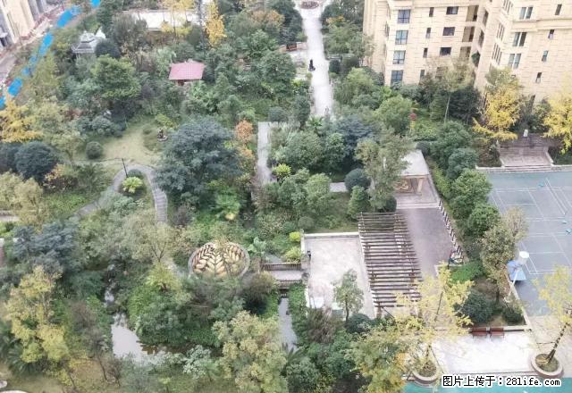 南岸莱茵河畔龙润国际精装大两室家具家电全齐全中庭拎包入住！ - 房屋出租 - 房屋租售 - 宜宾分类信息 - 宜宾28生活网 yb.28life.net