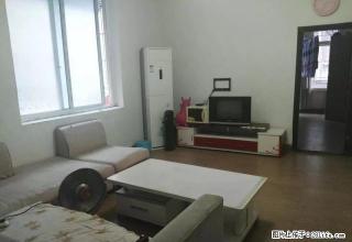 东楼街5楼1室1厅1卫《精装全齐》拎包入住1000 - 宜宾28生活网 yb.28life.net