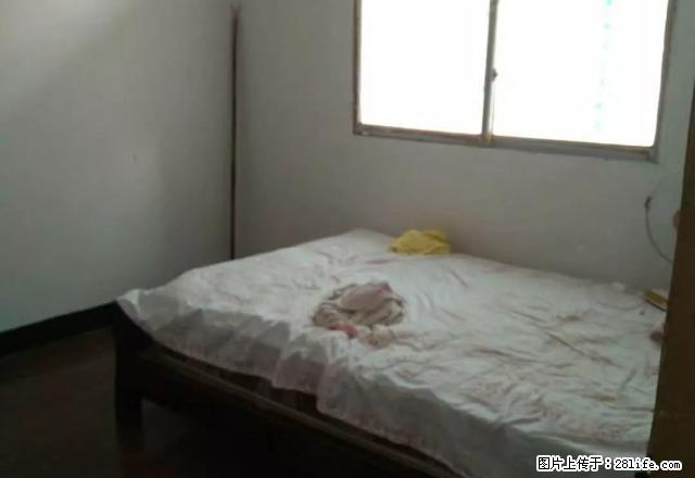 实惠房，阳光苑一室一厅三通，热水器，灶具，安静舒适，仅此一套 - 房屋出租 - 房屋租售 - 宜宾分类信息 - 宜宾28生活网 yb.28life.net