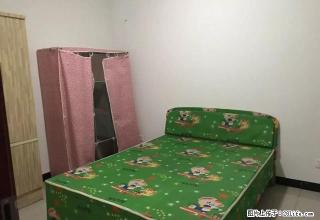柏溪城中央毕加索家电家具齐全两室，彩光好，南北通透1100 - 宜宾28生活网 yb.28life.net