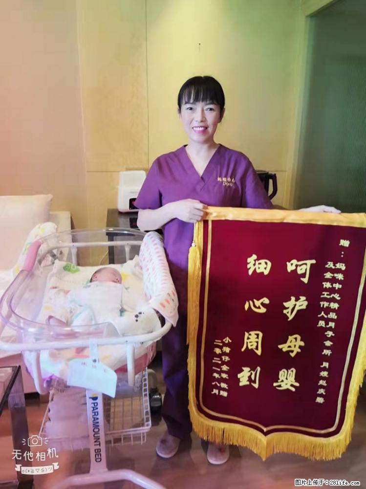 上海高端月子会所招新手月嫂，零基础带教，包吃住 - 职场交流 - 宜宾生活社区 - 宜宾28生活网 yb.28life.net