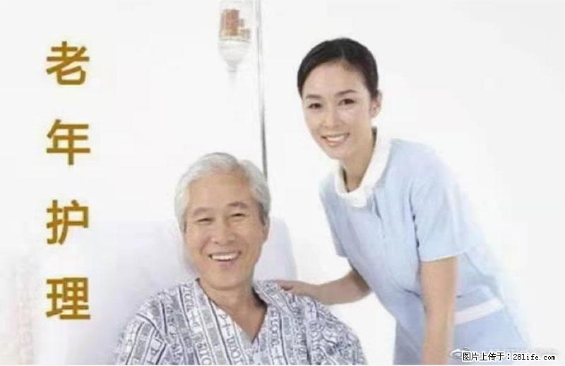 上海国企养老院，星级酒店环境，招聘养老护工 - 职场交流 - 宜宾生活社区 - 宜宾28生活网 yb.28life.net
