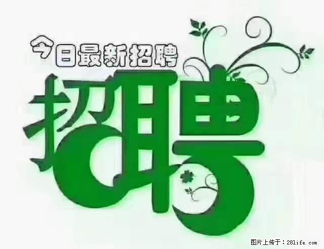 【招聘摄像师】待遇：试用期6000元/月，转正7000元/月+五险一金+餐补+节日福利+奖金 - 职场交流 - 宜宾生活社区 - 宜宾28生活网 yb.28life.net