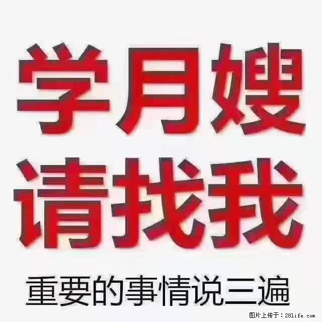 【招聘】月嫂，上海徐汇区 - 职场交流 - 宜宾生活社区 - 宜宾28生活网 yb.28life.net