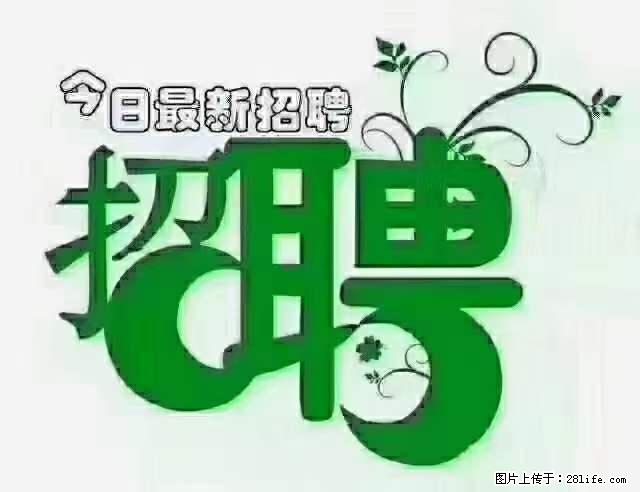 上海隔离酒店招人：55岁以下 男女不限 - 职场交流 - 宜宾生活社区 - 宜宾28生活网 yb.28life.net