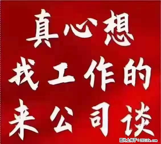 【上海】国企，医院招两名男保安，55岁以下，身高1.7米以上，无犯罪记录不良嗜好 - 职场交流 - 宜宾生活社区 - 宜宾28生活网 yb.28life.net