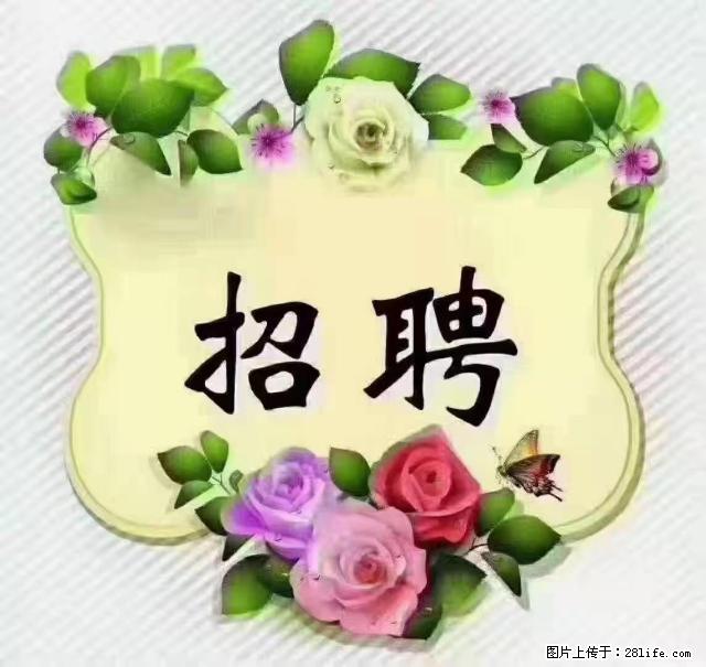 【招聘】住家育儿嫂，上户日期：4月4日，工作地址：上海 黄浦区 - 职场交流 - 宜宾生活社区 - 宜宾28生活网 yb.28life.net