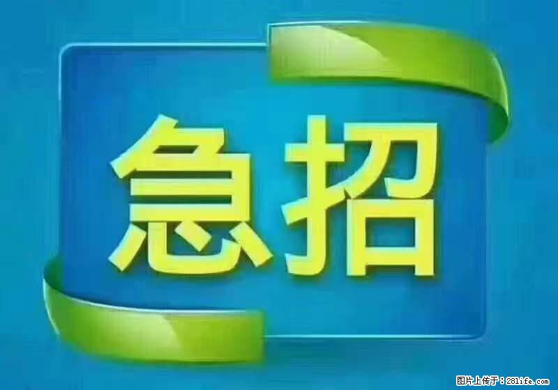 招财务，有会计证的，熟手会计1.1万底薪，上海五险一金，包住，包工作餐，做六休一 - 职场交流 - 宜宾生活社区 - 宜宾28生活网 yb.28life.net