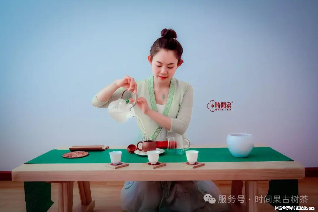 时间果百年古树龙珠普洱生茶 - 购物交流 - 宜宾生活社区 - 宜宾28生活网 yb.28life.net