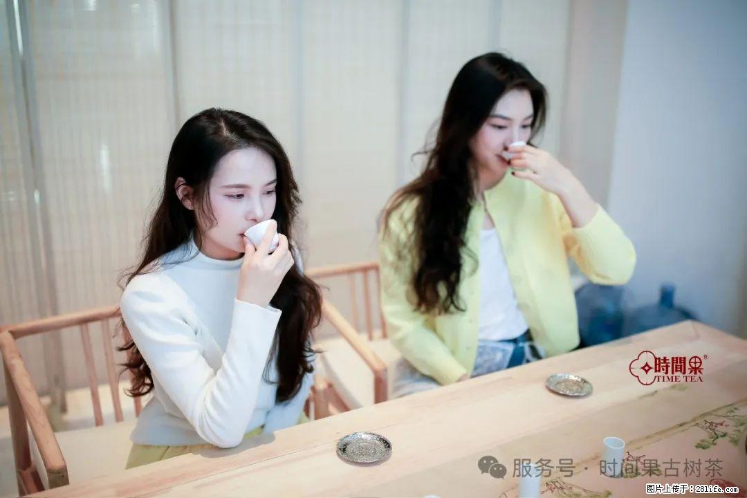 时间果百年古树龙珠普洱生茶 - 购物交流 - 宜宾生活社区 - 宜宾28生活网 yb.28life.net