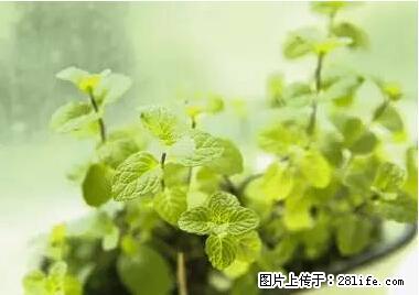 晕车、脚气、牙齿变黄、皮肤粗糙？学会这些三分钟搞定！ - 宜宾生活资讯 - 宜宾28生活网 yb.28life.net