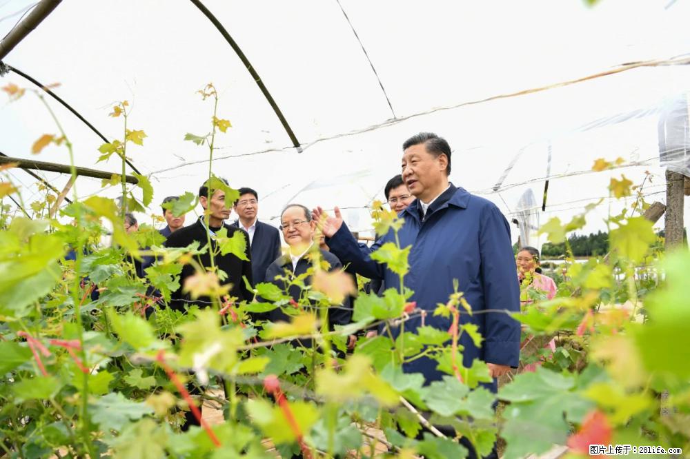 习近平赴广西考察调研 - 宜宾生活资讯 - 宜宾28生活网 yb.28life.net