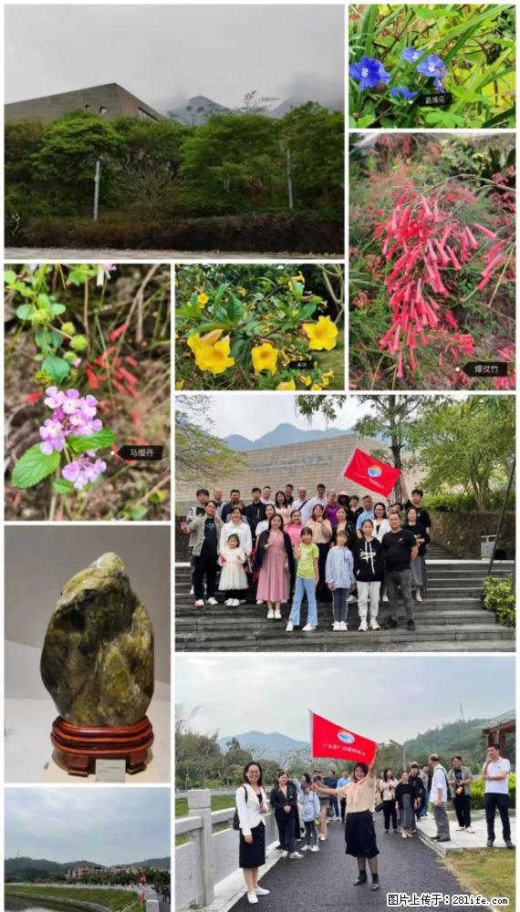“粤灌文化 美好生活”油茶文化主题活动在广东深圳成功举办 - 宜宾生活资讯 - 宜宾28生活网 yb.28life.net