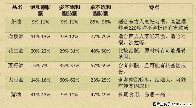 揭秘茶油的5大核心营养成分！被称为人体健康的“守护盾”！ - 宜宾生活资讯 - 宜宾28生活网 yb.28life.net