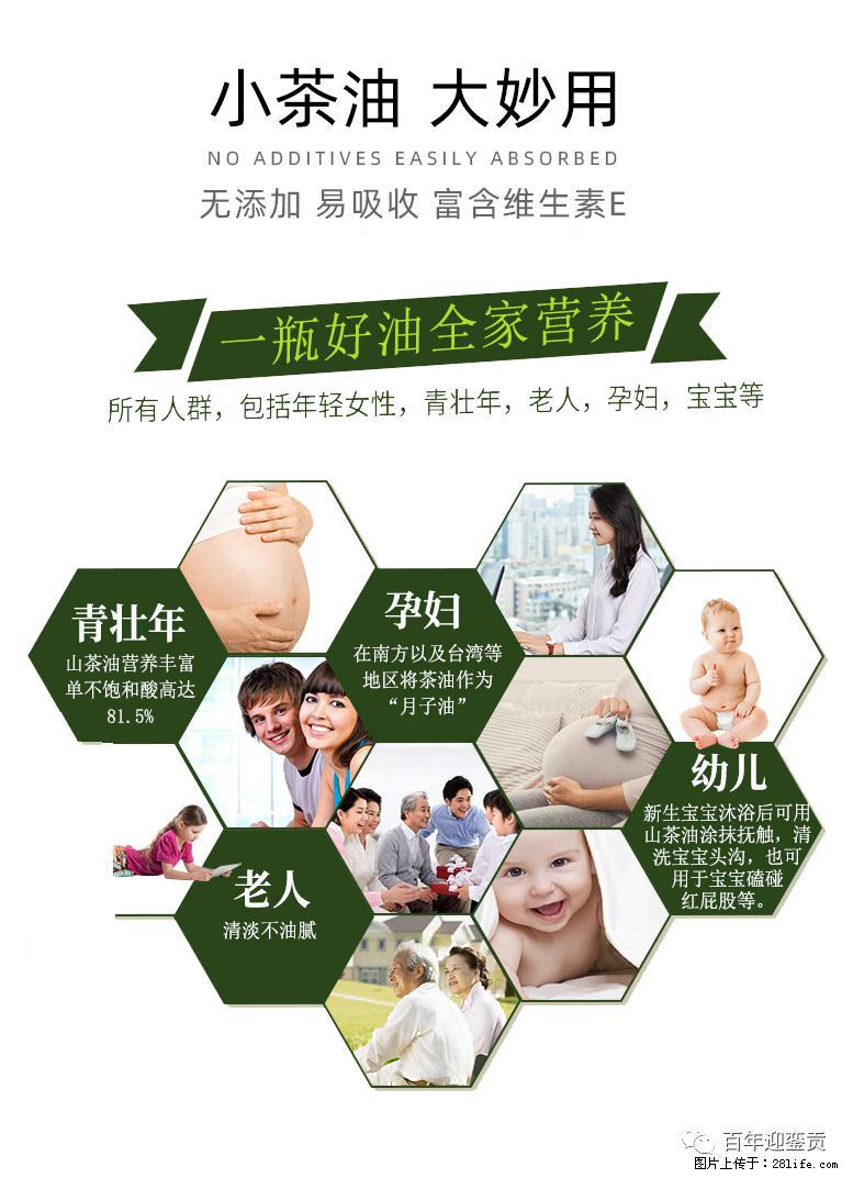 世界没有真相，只有认知，最好的食用油是中国的山茶油！ - 宜宾生活资讯 - 宜宾28生活网 yb.28life.net