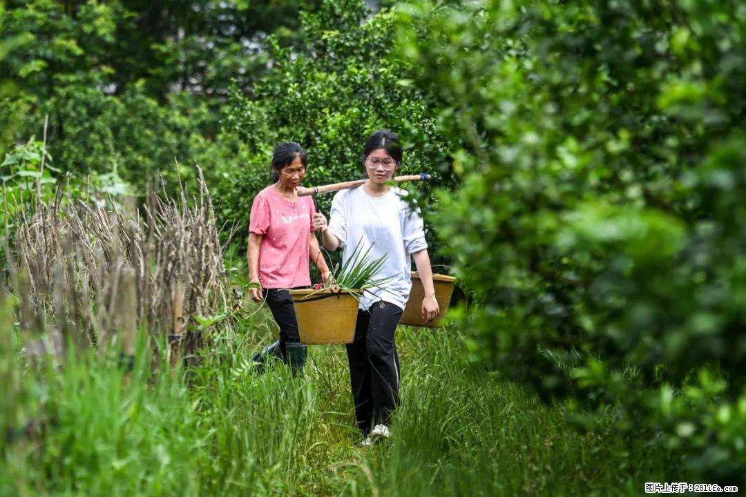 全网追的“扁担女孩”，找了一份暑假工，时薪12元 - 宜宾生活资讯 - 宜宾28生活网 yb.28life.net