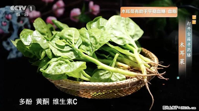 比牛奶补钙还厉害！凉血解毒、稳血糖...这菜冬天必吃，很多人却当草 - 宜宾生活资讯 - 宜宾28生活网 yb.28life.net