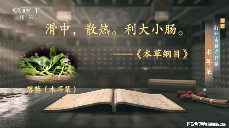 比牛奶补钙还厉害！凉血解毒、稳血糖...这菜冬天必吃，很多人却当草 - 宜宾生活资讯 - 宜宾28生活网 yb.28life.net